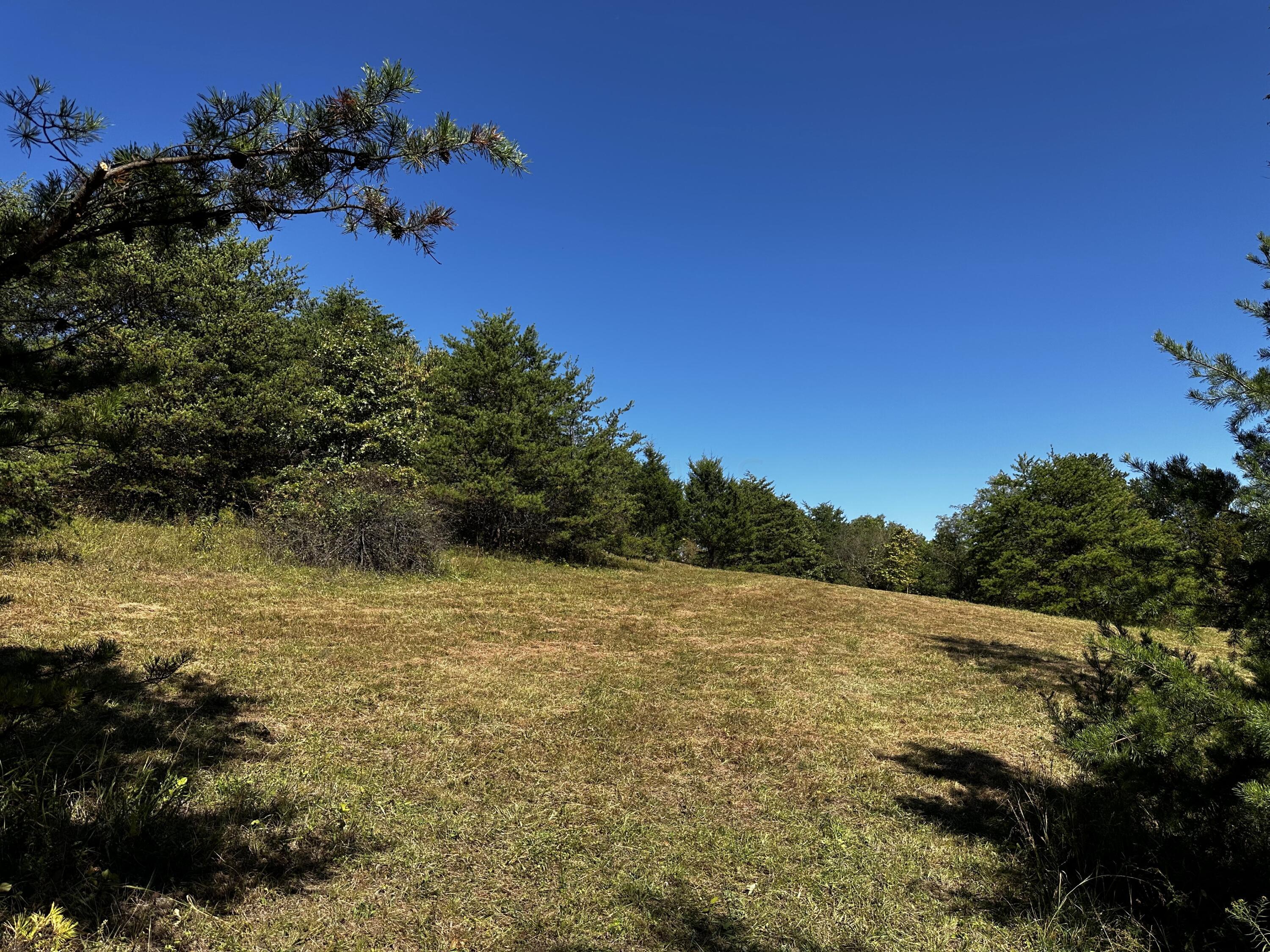 865 Hull Road, Unit TRACT 13 WOODS WAYNE FOREST) Patriot, OH 45658 - Photo 51 of 57 20241008_180622062_iOS