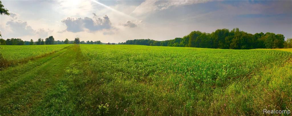 9102 Stelzer Road Howell, MI 48855 - Photo 2 of 18