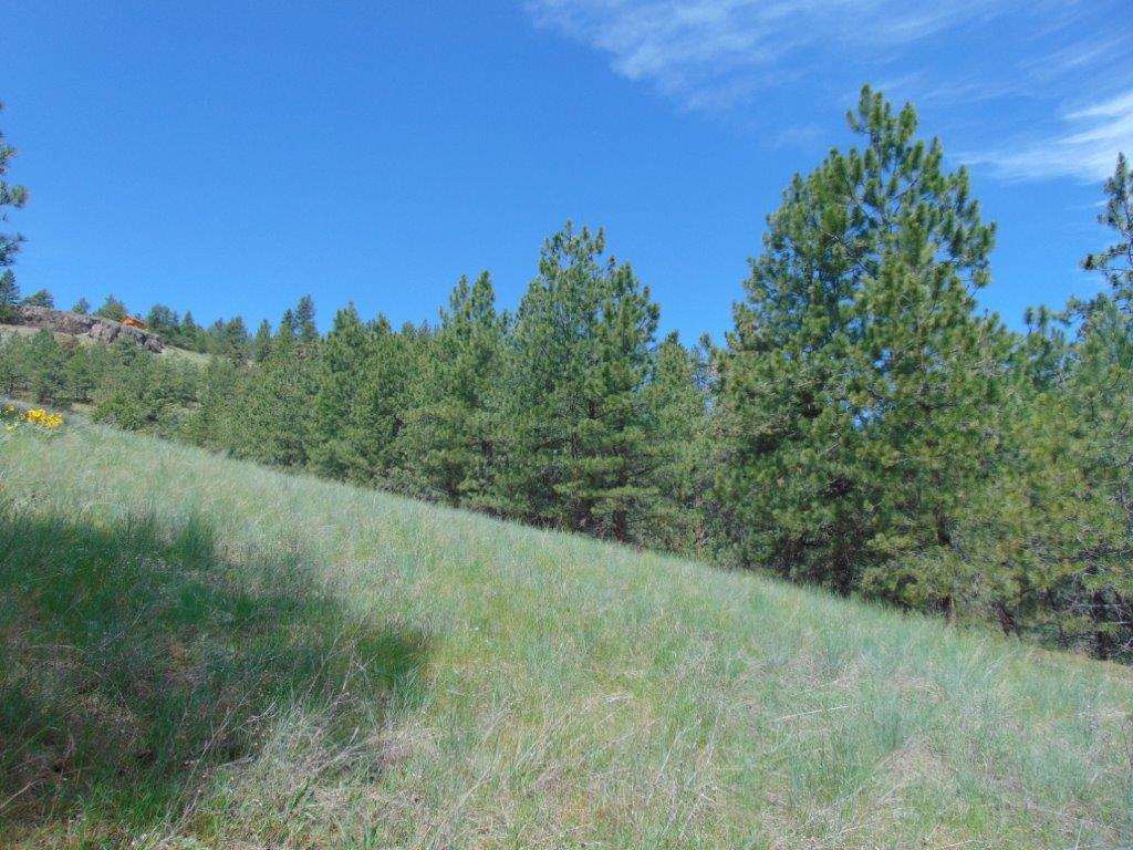 19 Lookout Lane Cascade, MT 59421 - Photo 5 of 30 Gallery Image 5