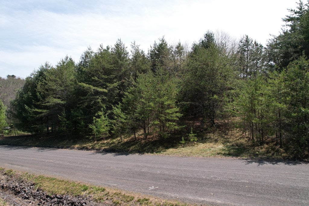 Tbd Pine Branch Road, Unit 7 & 8 Laurel Fork, VA 24352 - Photo 19 of 25 Gallery Image 19