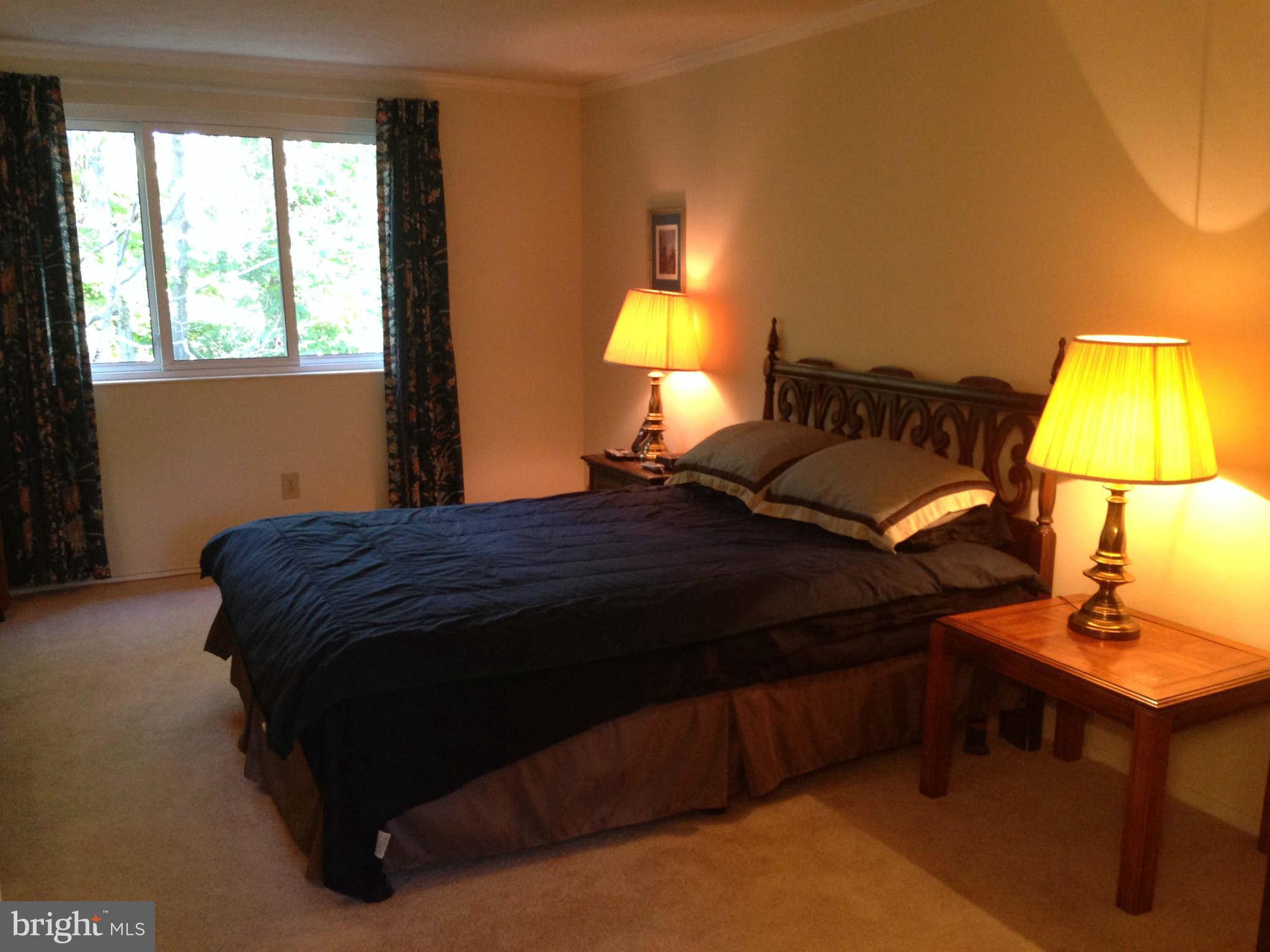 8066 Athena Street Springfield, VA 22153 - Photo 16 of 30 a bedroom with a bed and lamp next to a window