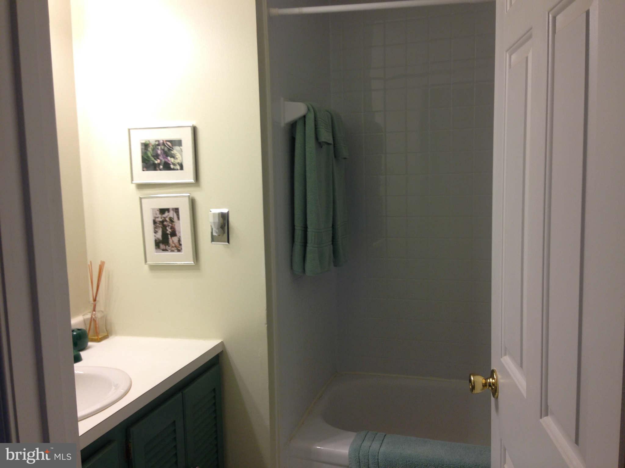 8066 Athena Street Springfield, VA 22153 - Photo 24 of 30 a bathroom with a sink and a bathtub