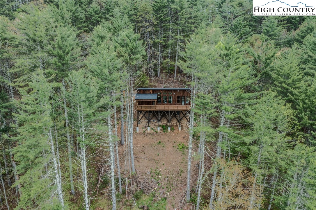 281 New Riv Farms Road Fleetwood, NC 28626 - Photo 1 of 50 a view of a forest