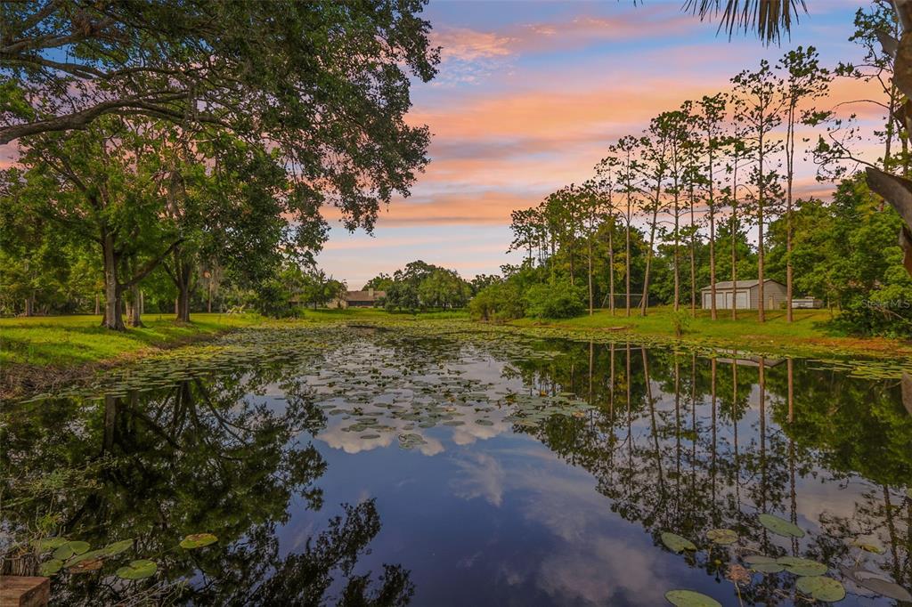 1226 Debuel Road Lutz, FL 33549 - Photo 3 of 39