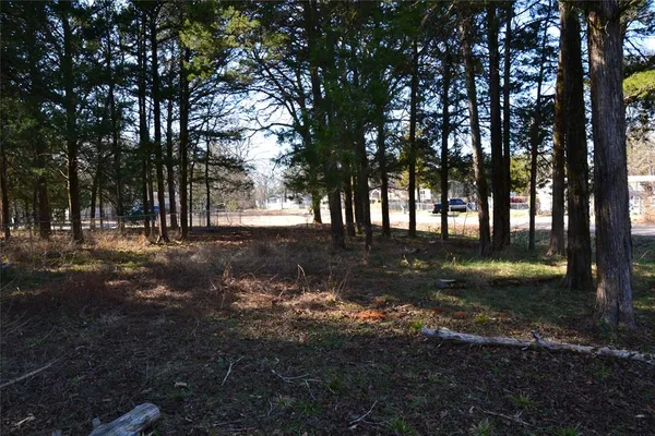 $70,000 | 0 Sweetgum Trail, Murchison, TX 75778