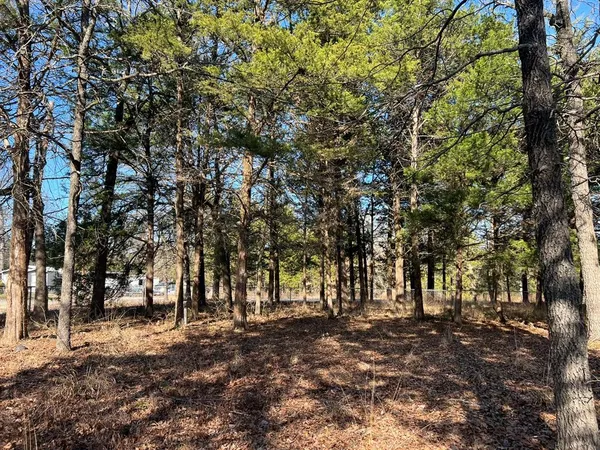 $70,000 | 0 Sweetgum Trail, Murchison, TX 75778