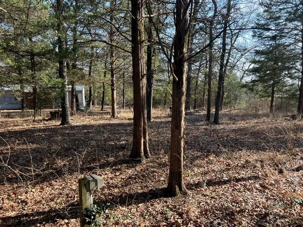$70,000 | 0 Sweetgum Trail, Murchison, TX 75778