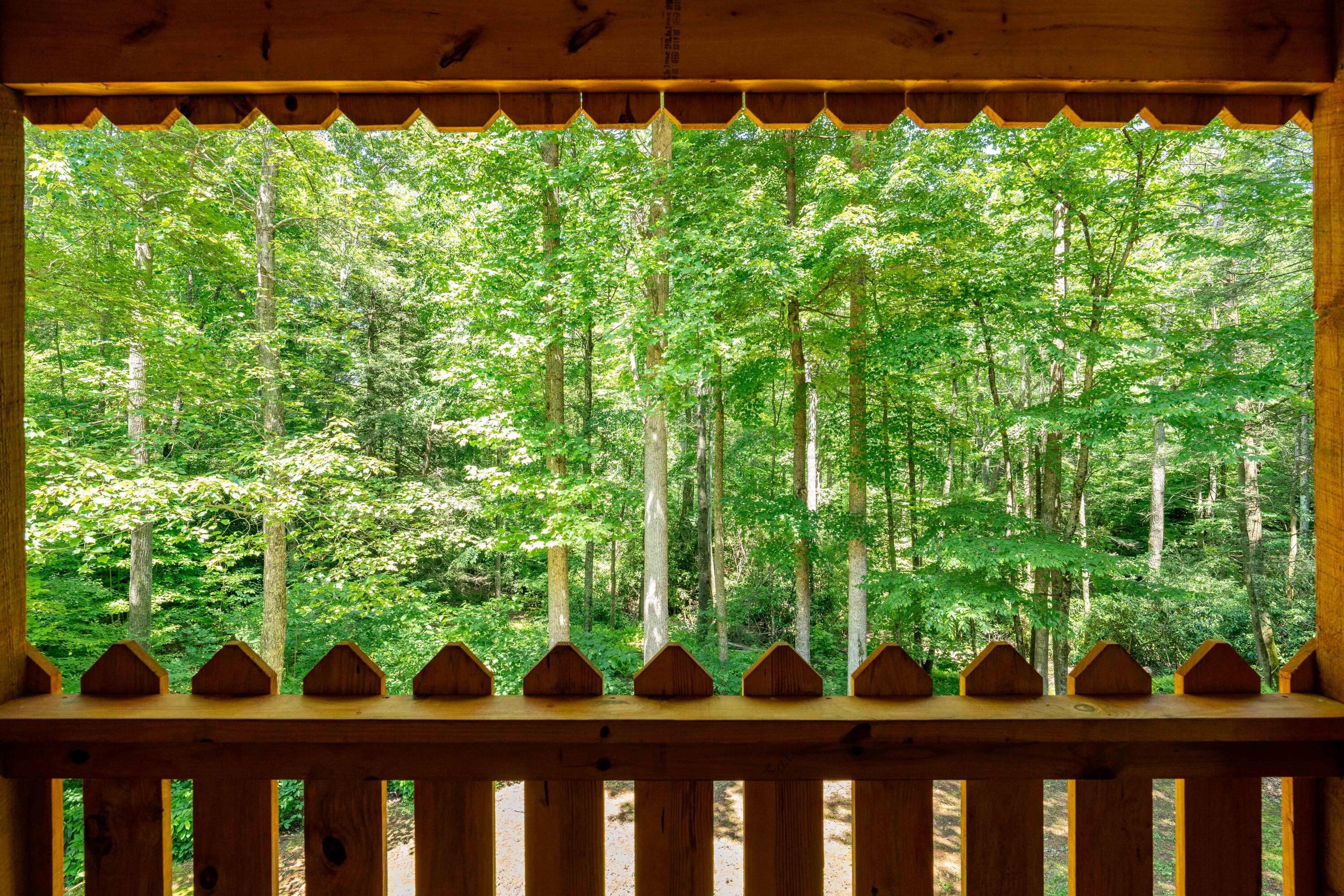 795 Hiram Clark Road Elizabethton, TN 37643 - Photo 30 of 107 795 Hiram Clark road (38 of 107)