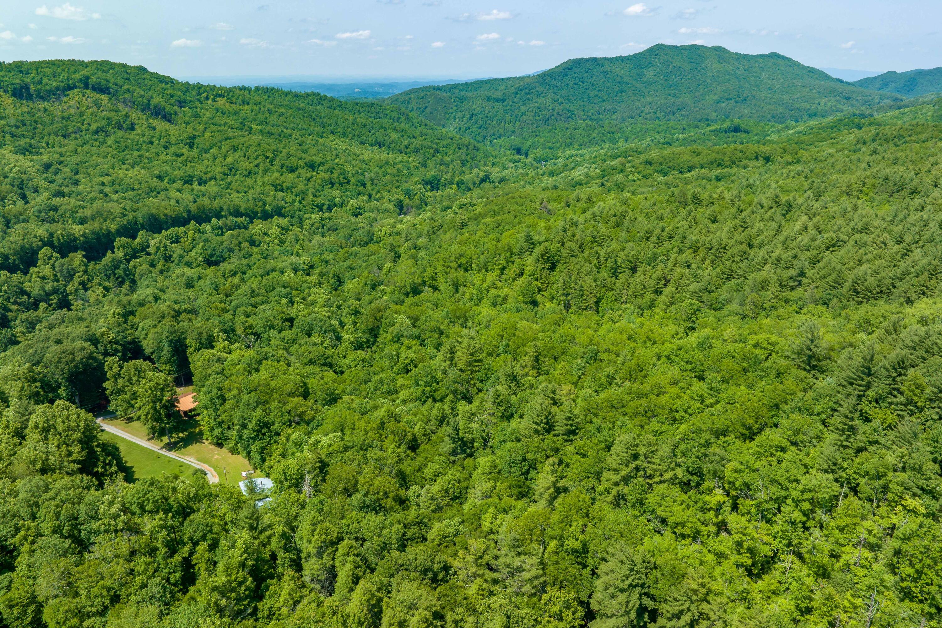 795 Hiram Clark Road Elizabethton, TN 37643 - Photo 39 of 107 795 Hiram Clark road (9 of 107)