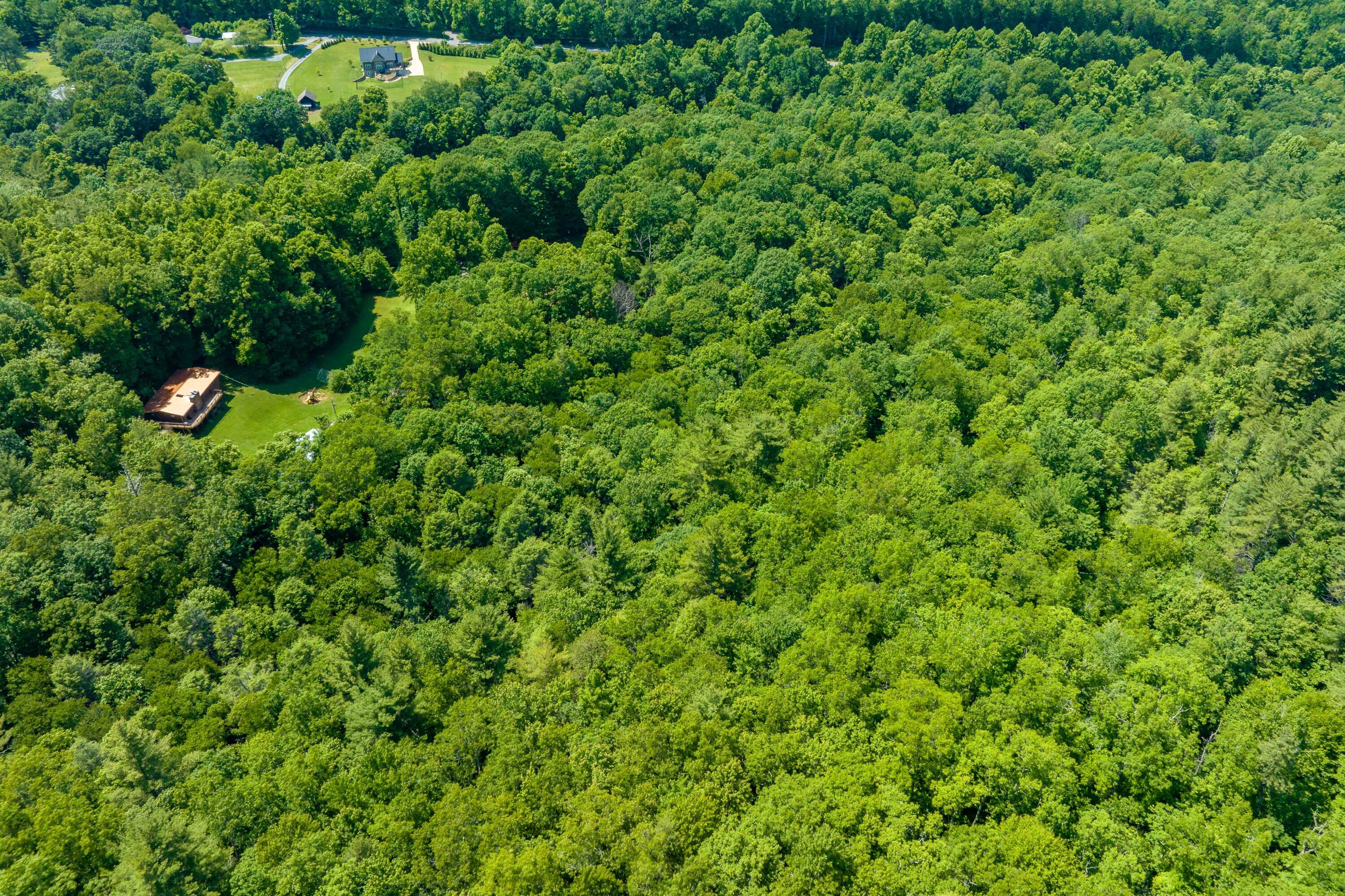 795 Hiram Clark Road Elizabethton, TN 37643 - Photo 40 of 107 795 Hiram Clark road (11 of 107)