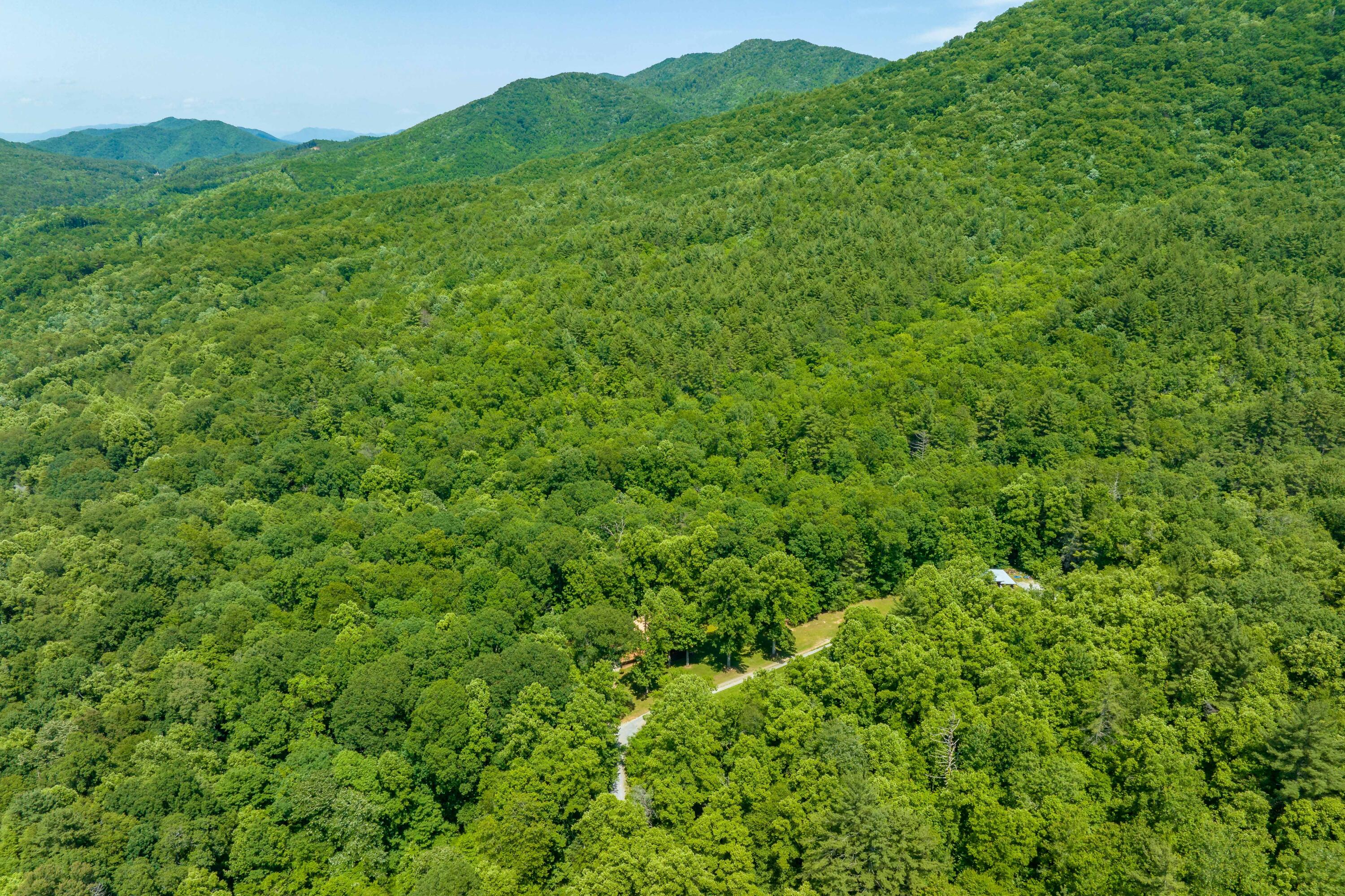795 Hiram Clark Road Elizabethton, TN 37643 - Photo 41 of 107 795 Hiram Clark road (8 of 107)