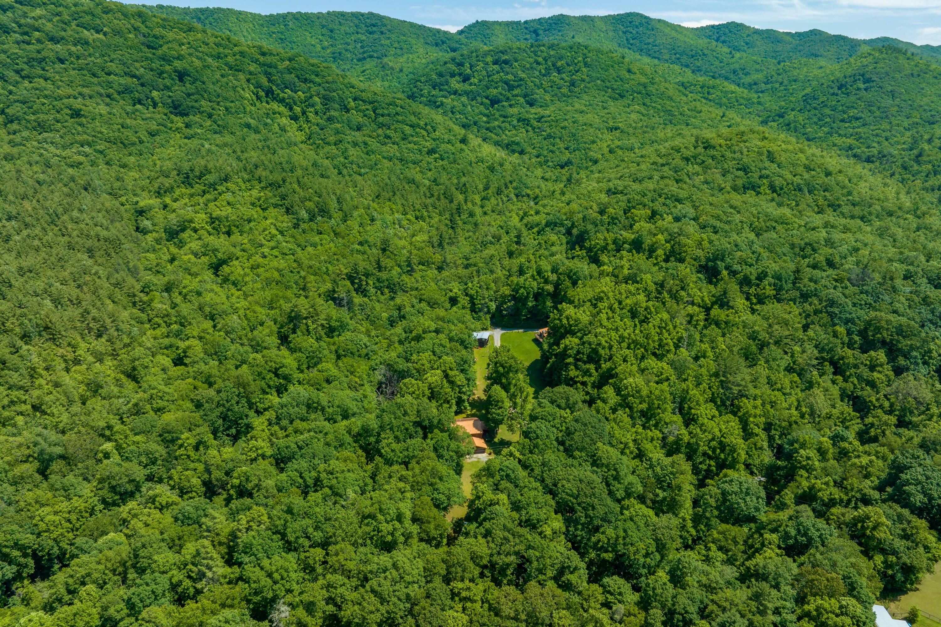 795 Hiram Clark Road Elizabethton, TN 37643 - Photo 42 of 107 795 Hiram Clark road (7 of 107)