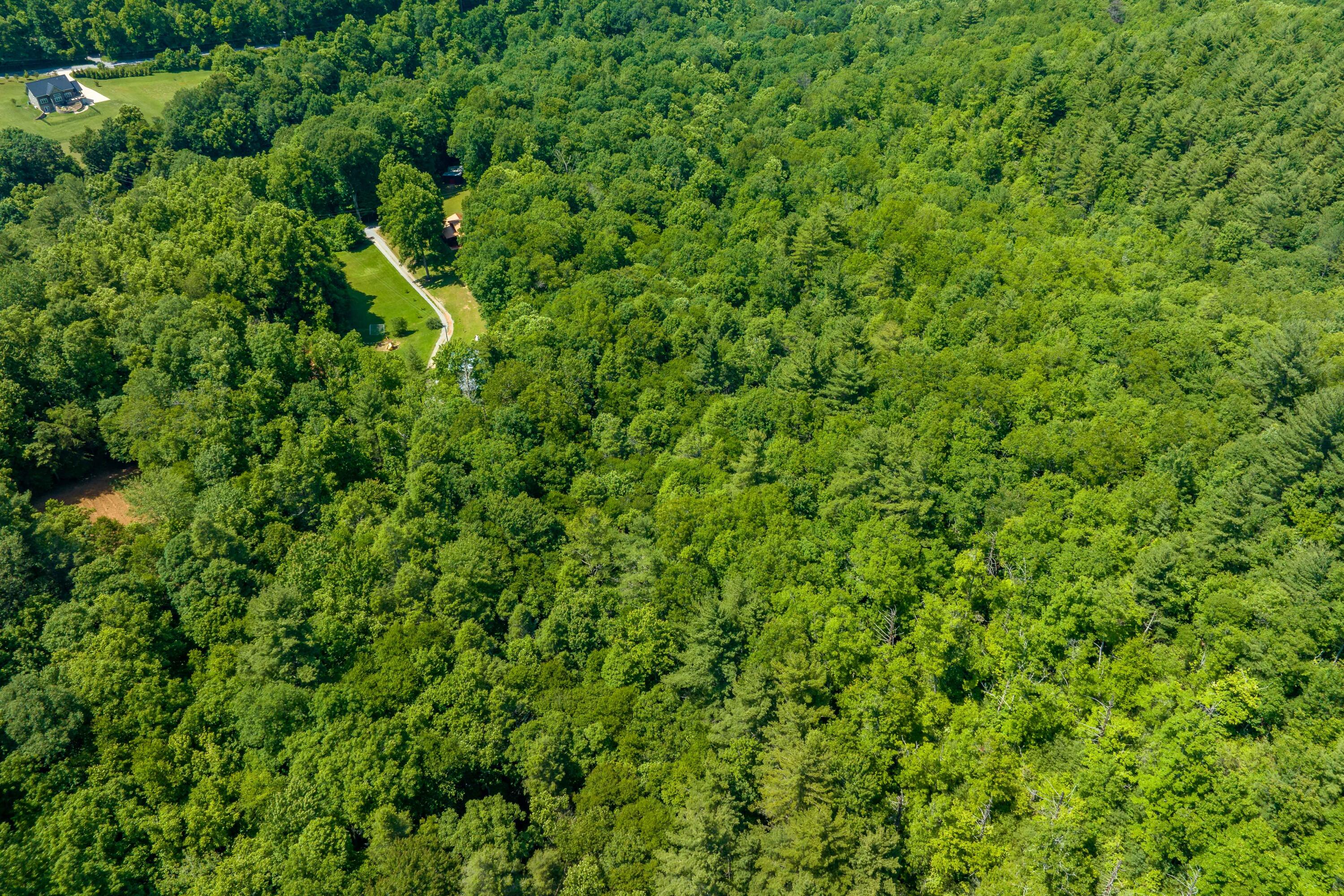 795 Hiram Clark Road Elizabethton, TN 37643 - Photo 44 of 107 795 Hiram Clark road (6 of 107)