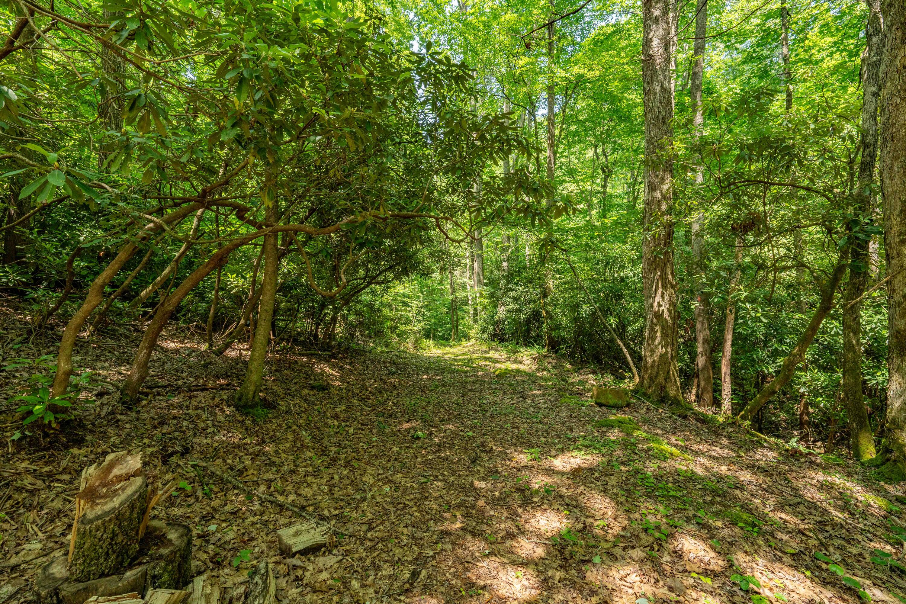795 Hiram Clark Road Elizabethton, TN 37643 - Photo 45 of 107 795 Hiram Clark road (47 of 107)