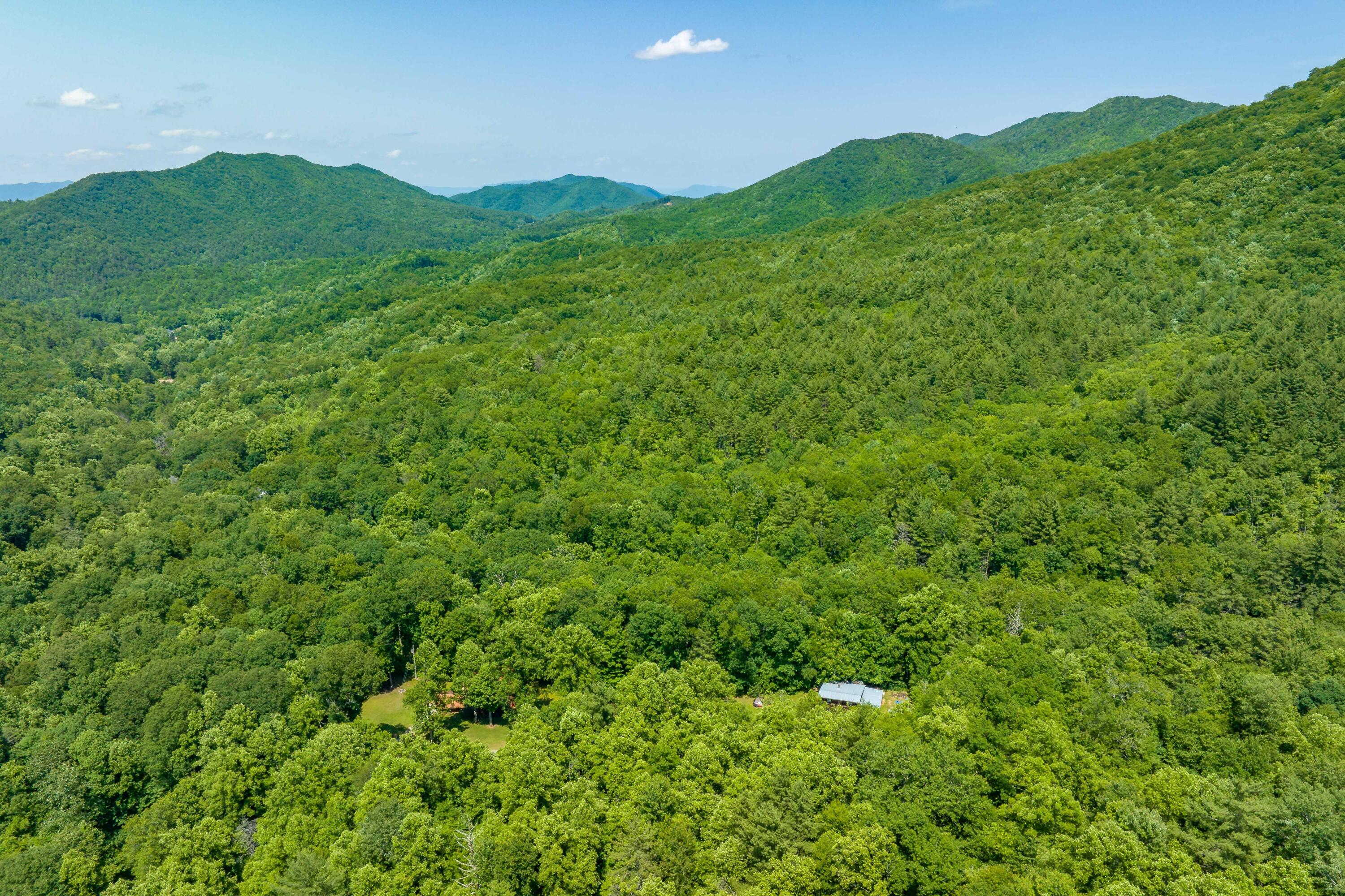 795 Hiram Clark Road Elizabethton, TN 37643 - Photo 46 of 107 795 Hiram Clark road (4 of 107)