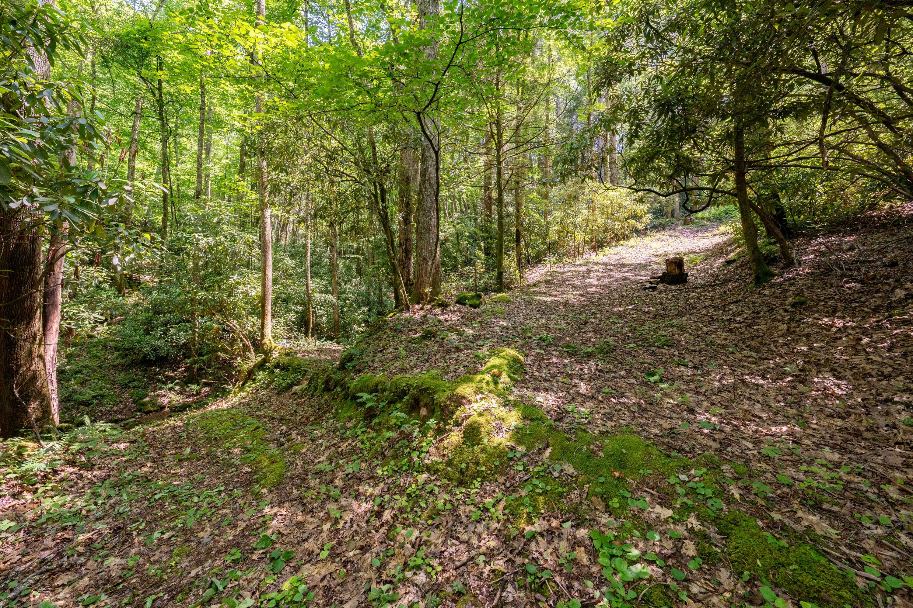 795 Hiram Clark Road Elizabethton, TN 37643 - Photo 47 of 107 795 Hiram Clark road (48 of 107)