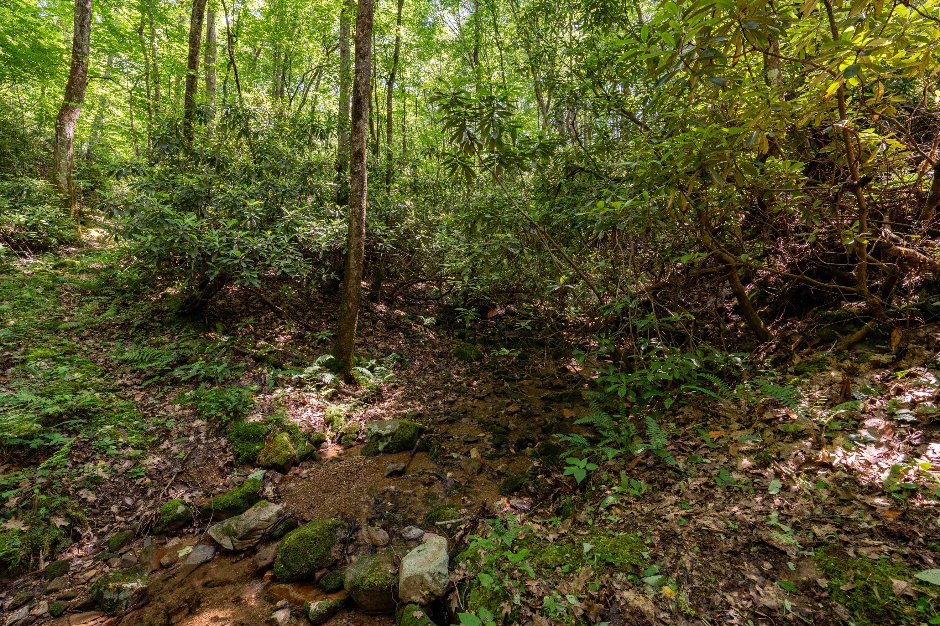 795 Hiram Clark Road Elizabethton, TN 37643 - Photo 48 of 107 795 Hiram Clark road (49 of 107)