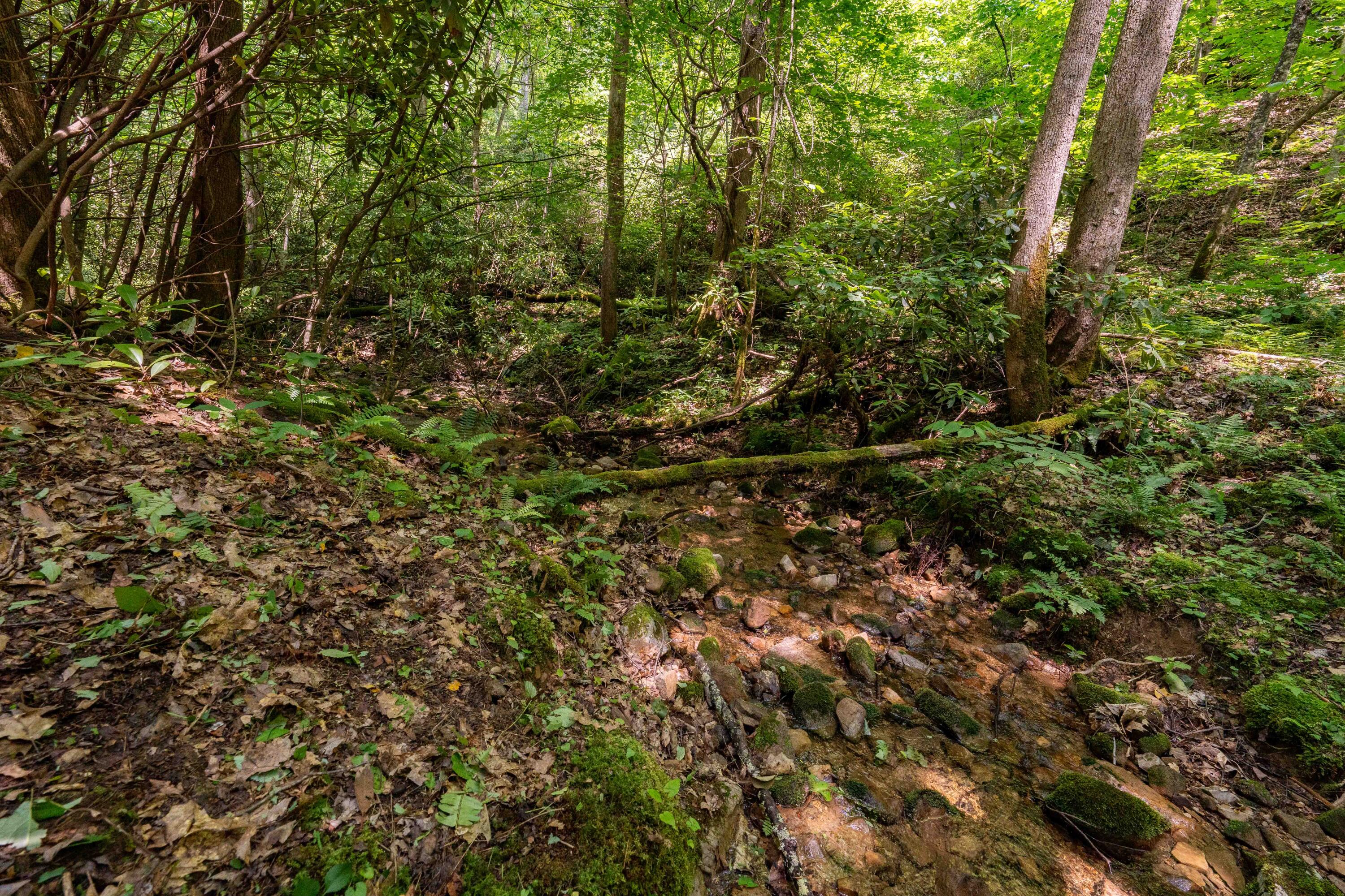 795 Hiram Clark Road Elizabethton, TN 37643 - Photo 49 of 107 795 Hiram Clark road (50 of 107)
