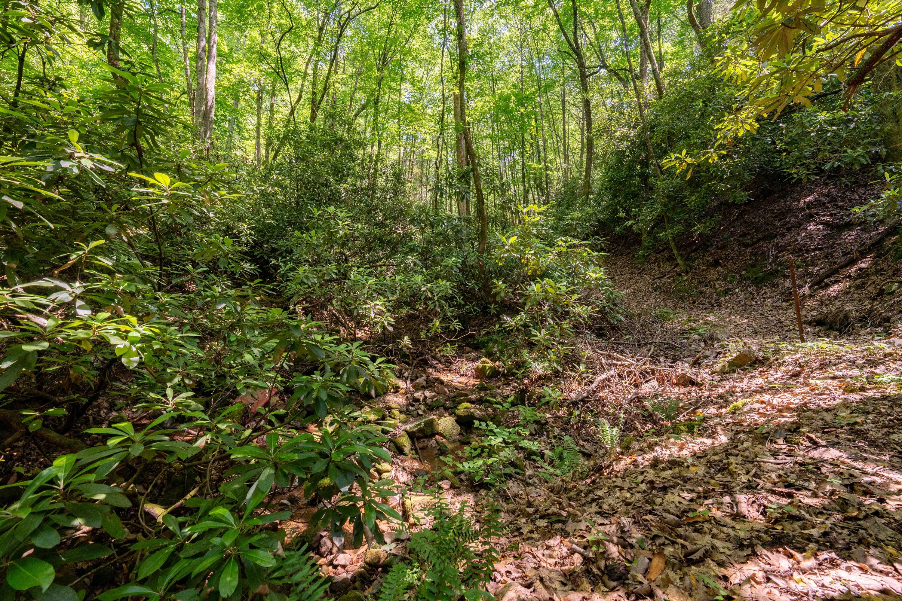 795 Hiram Clark Road Elizabethton, TN 37643 - Photo 51 of 107 795 Hiram Clark road (51 of 107)