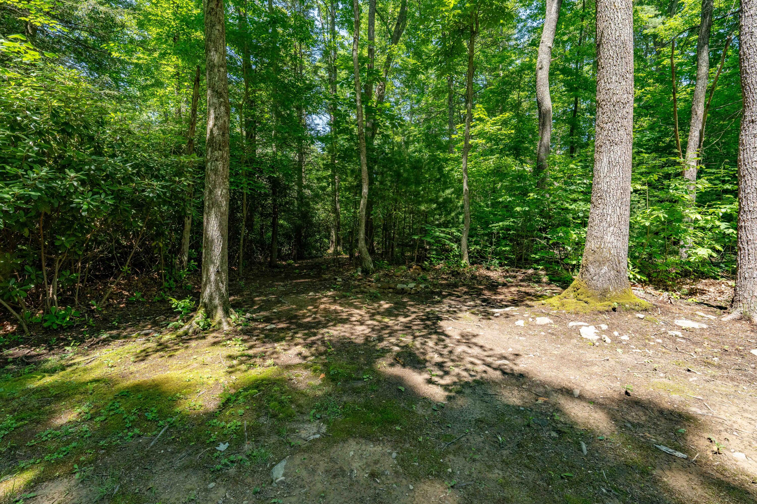 795 Hiram Clark Road Elizabethton, TN 37643 - Photo 61 of 107 795 Hiram Clark road (61 of 107)