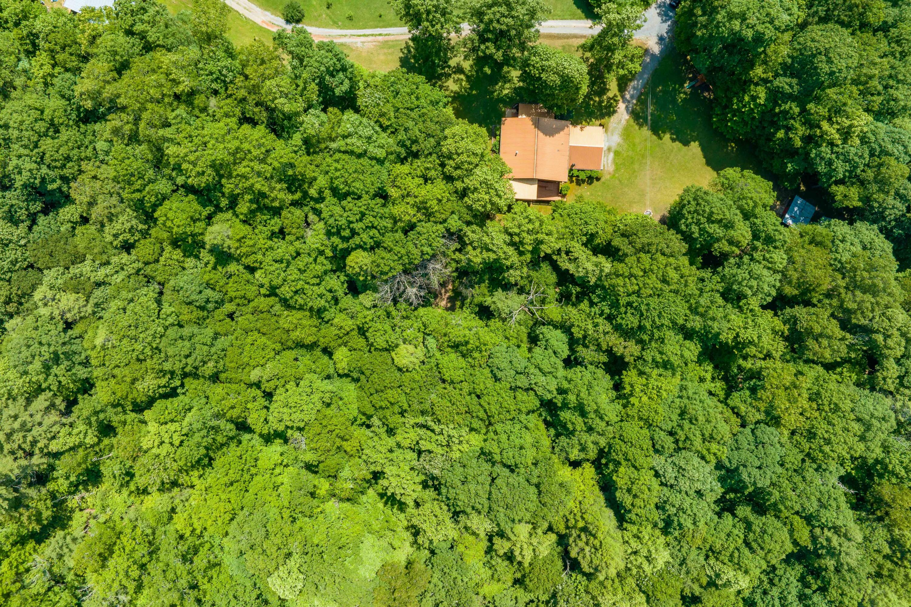 795 Hiram Clark Road Elizabethton, TN 37643 - Photo 10 of 107 795 Hiram Clark road (12 of 107)