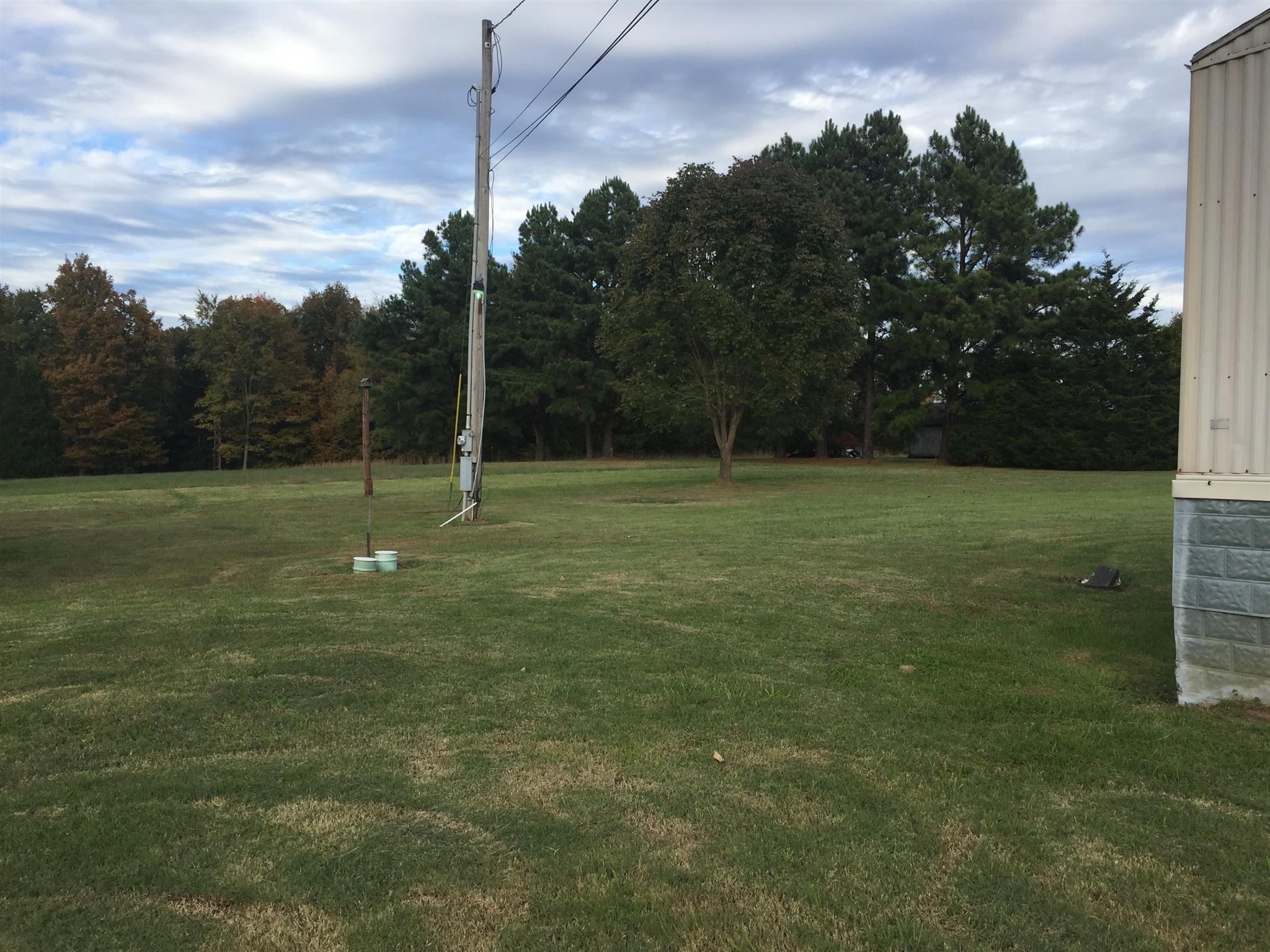 2175 Baggett Road Palmyra, TN 37142 - Photo 15 of 19 a view of a field with a tree in the background
