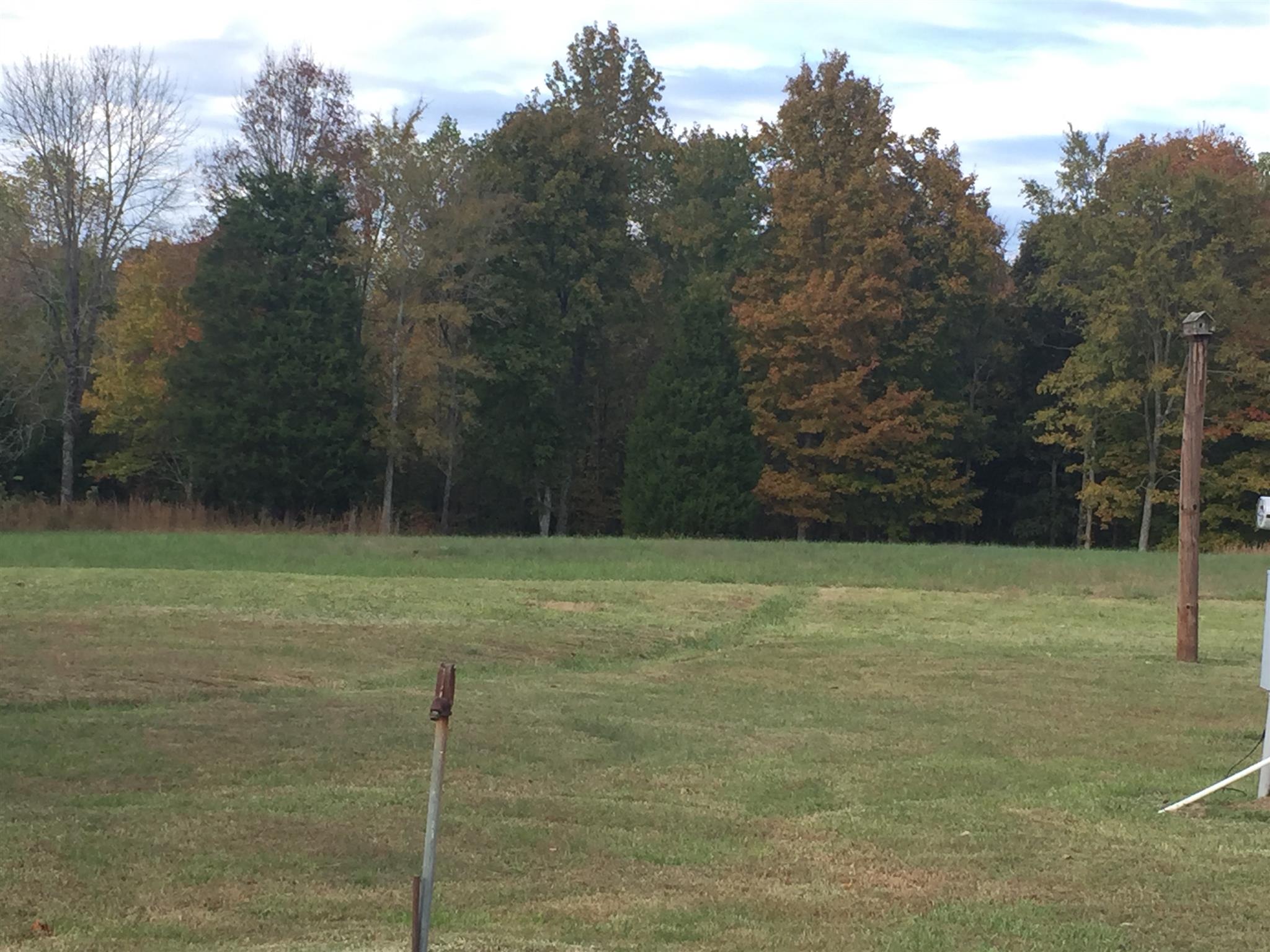 2175 Baggett Road Palmyra, TN 37142 - Photo 17 of 19 a view of a field with a tree