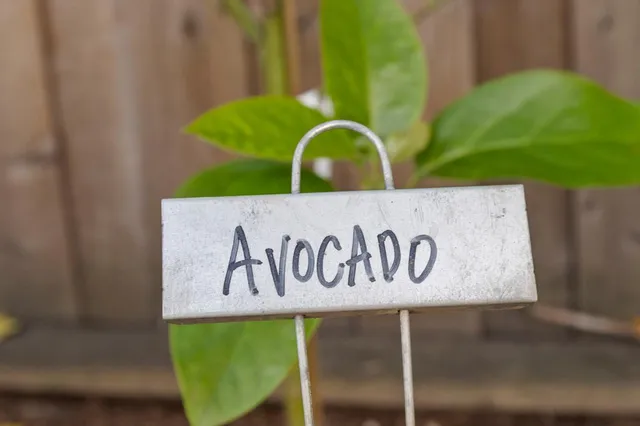 $2,398,000 | 612 Hudson Street, Redwood City, CA 94061