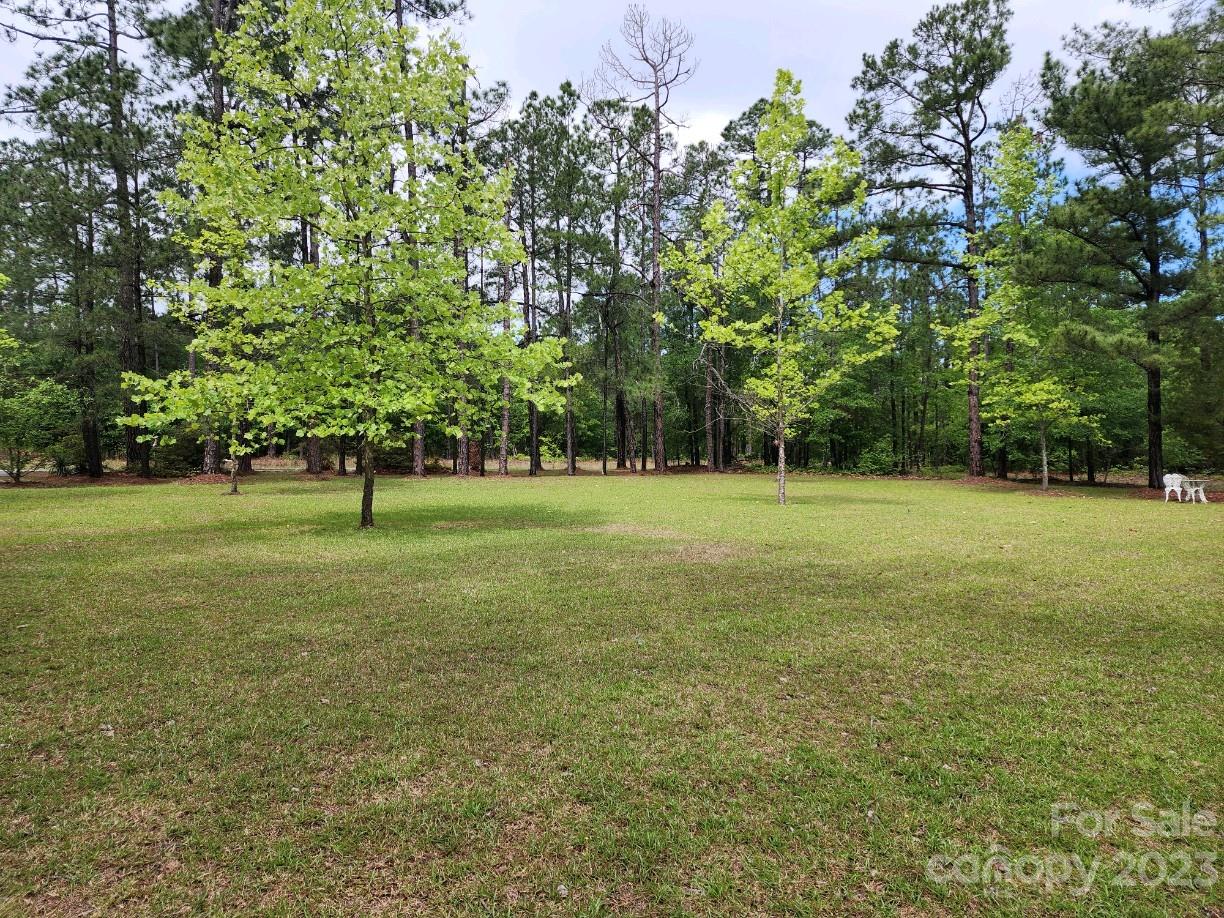 3291 Airport Road Pageland, SC 29728 - Photo 10 of 31 Gallery Image 10