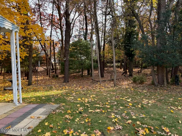 a view of a park with large trees