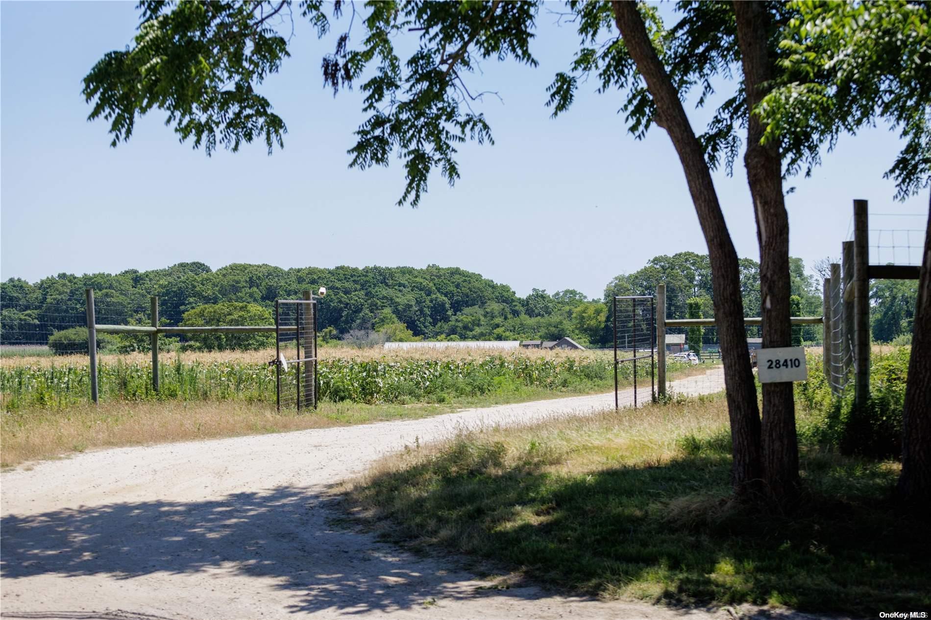 Pristine and Picturesque