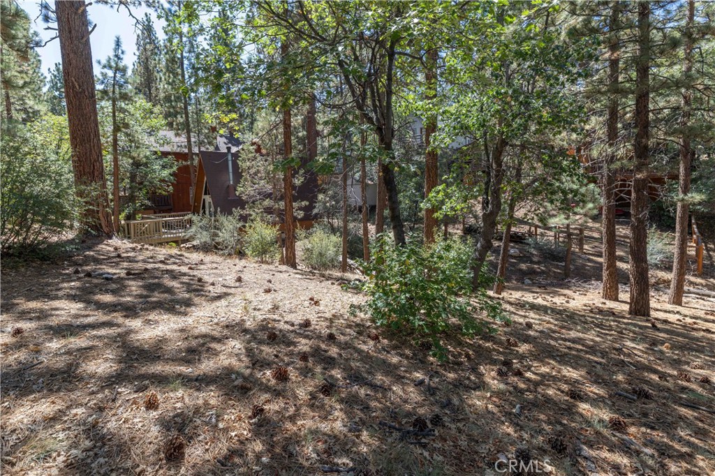 44 Kern Sugarloaf, CA 92386 - Photo 11 of 14 a view of a forest with trees