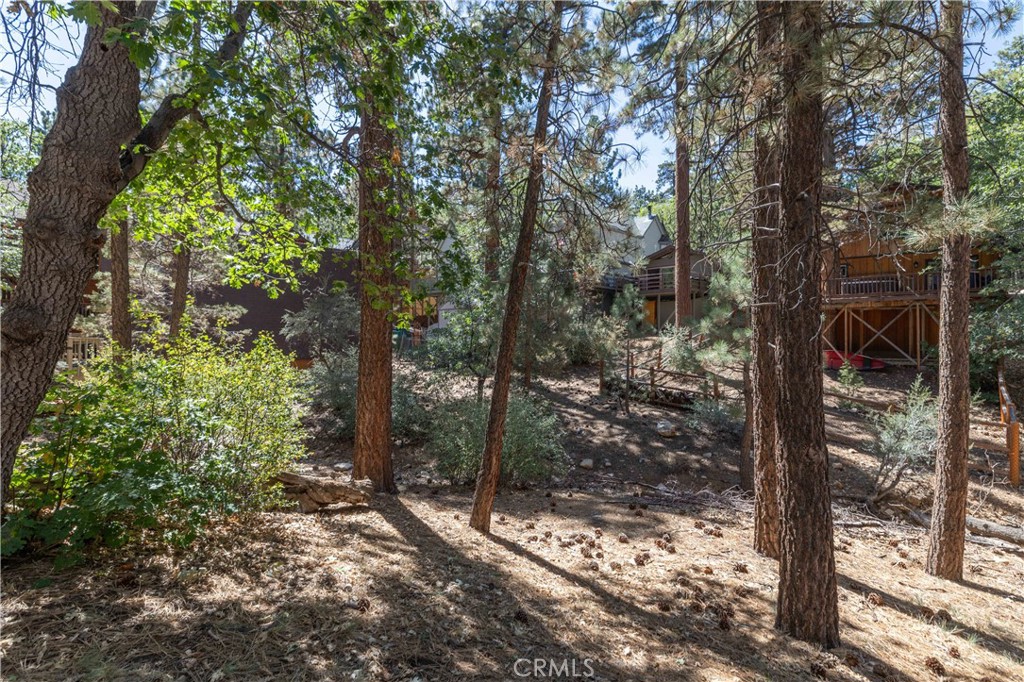 44 Kern Sugarloaf, CA 92386 - Photo 12 of 14 a view of a forest filled with trees