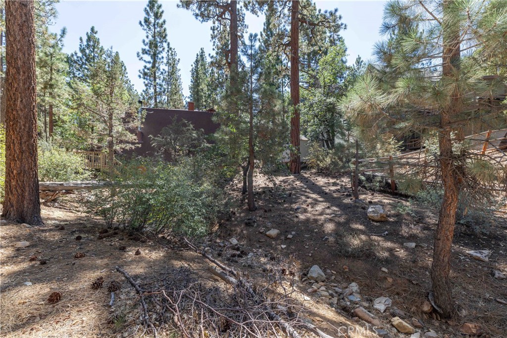 44 Kern Sugarloaf, CA 92386 - Photo 13 of 14 a view of a forest with trees in the background