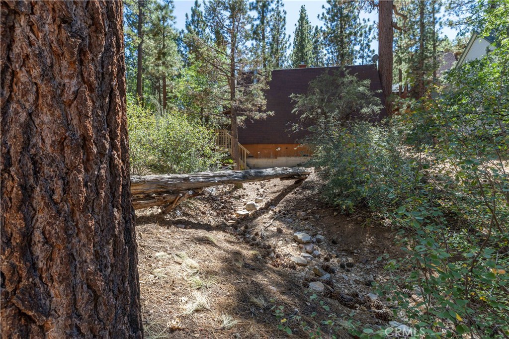 44 Kern Sugarloaf, CA 92386 - Photo 14 of 14 a view of a yard