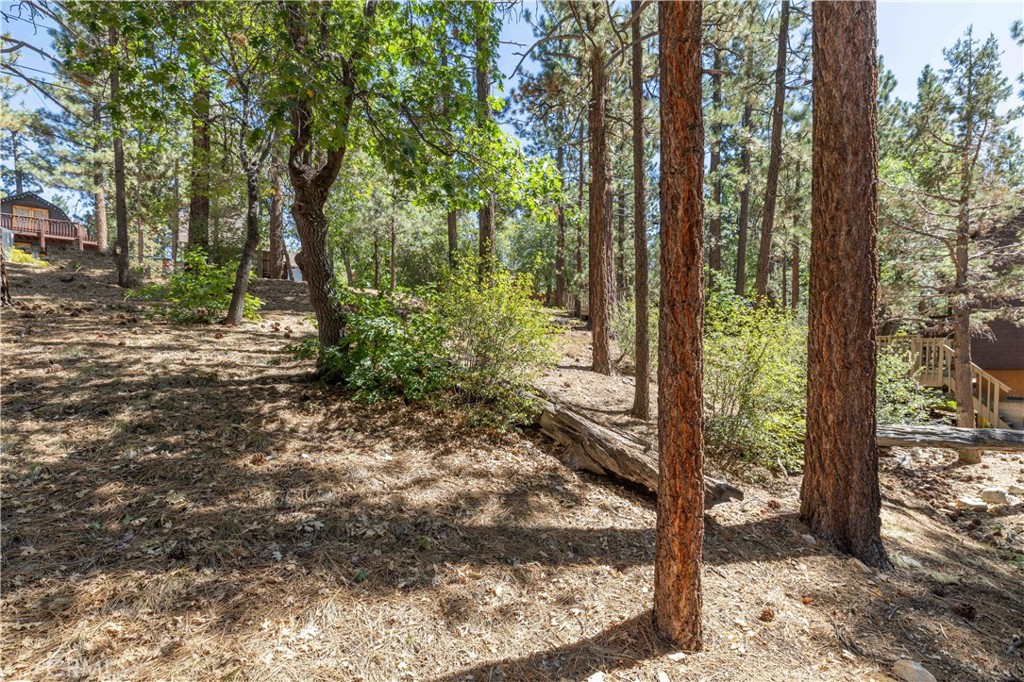 44 Kern Sugarloaf, CA 92386 - Photo 2 of 14 a view of a forest with trees
