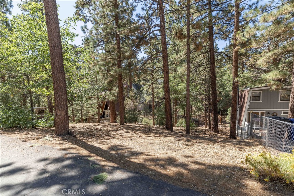 44 Kern Sugarloaf, CA 92386 - Photo 3 of 14 a view of outdoor space with trees