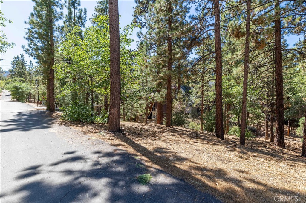 44 Kern Sugarloaf, CA 92386 - Photo 4 of 14 a view of a forest with trees