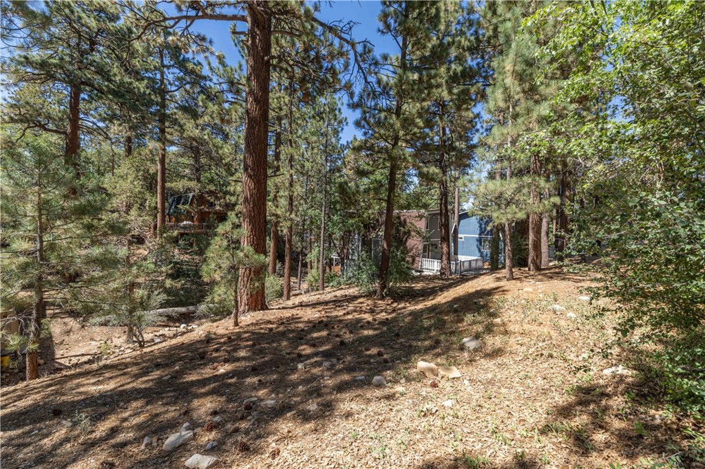 44 Kern Sugarloaf, CA 92386 - Photo 7 of 14 a street view with large trees