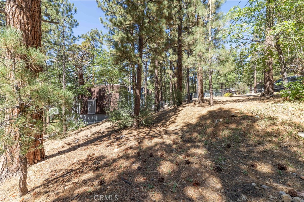 44 Kern Sugarloaf, CA 92386 - Photo 9 of 14 a view of a yard with trees