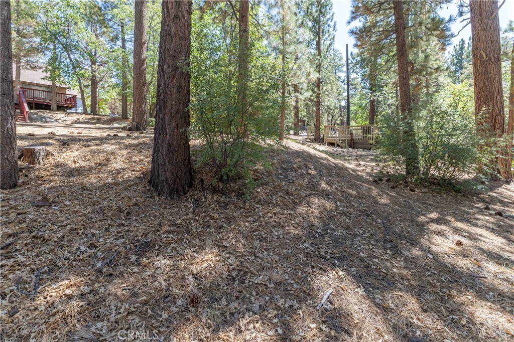 44 Kern Sugarloaf, CA 92386 - Photo 10 of 14 a view of a forest with trees in the background