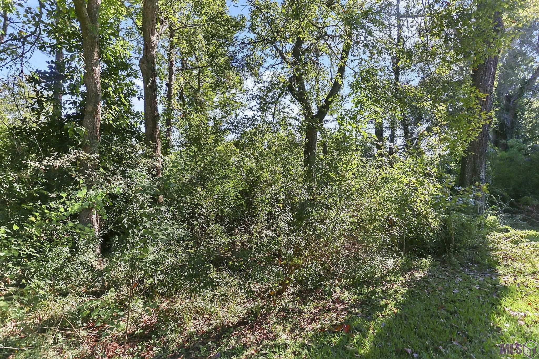 8311 Oakbrook Drive St. George, LA 70810 - Photo 18 of 19