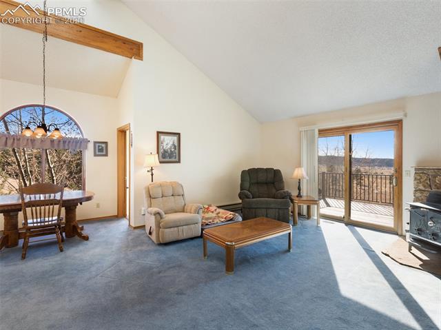 240 Ridge Top Drive Divide, CO 80814 - Photo 6 of 38