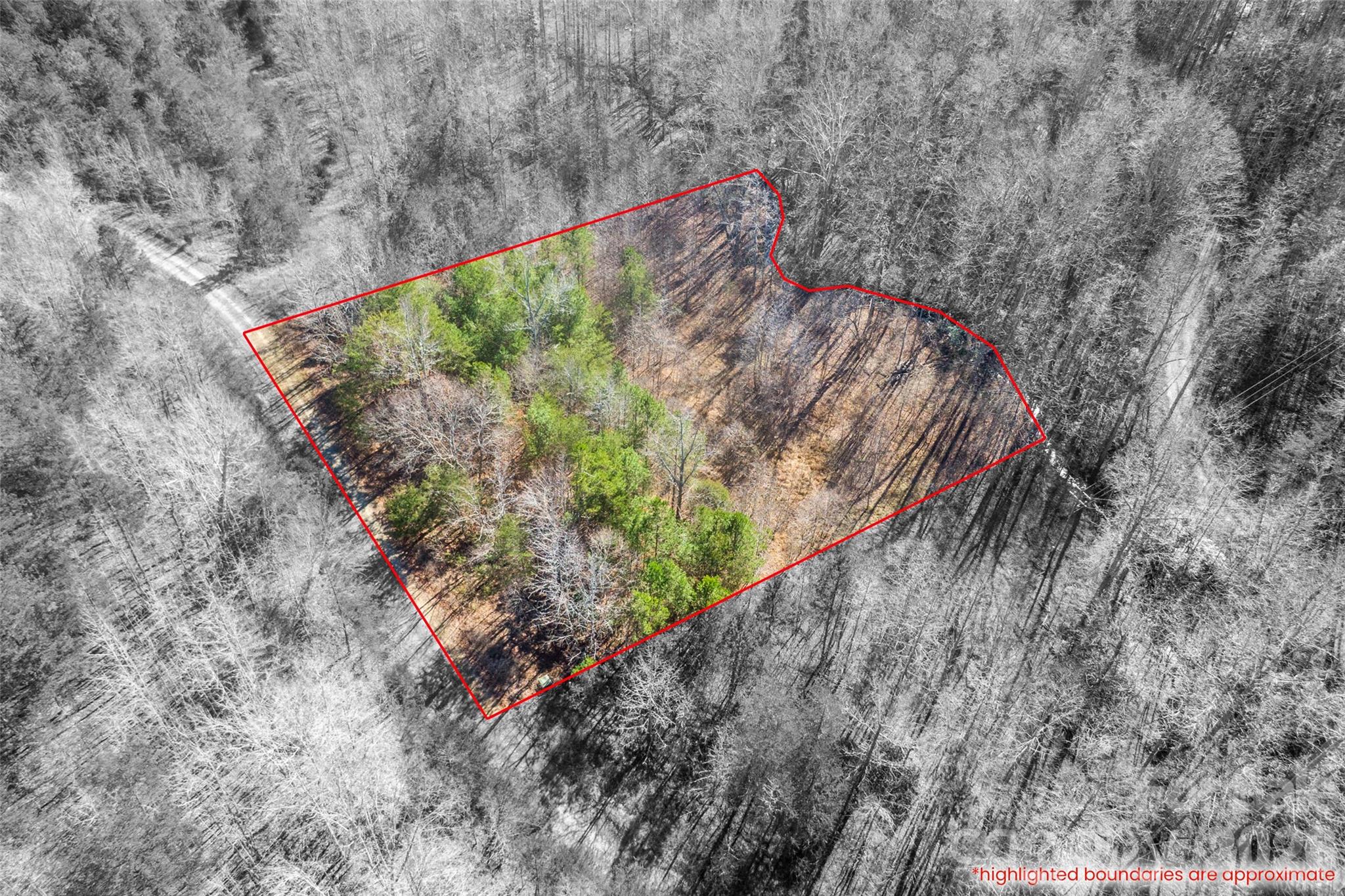 0 Riding Ring Drive, Unit 10 Ellenboro, NC 28040 - Photo 3 of 6 a view of a plants in a backyard