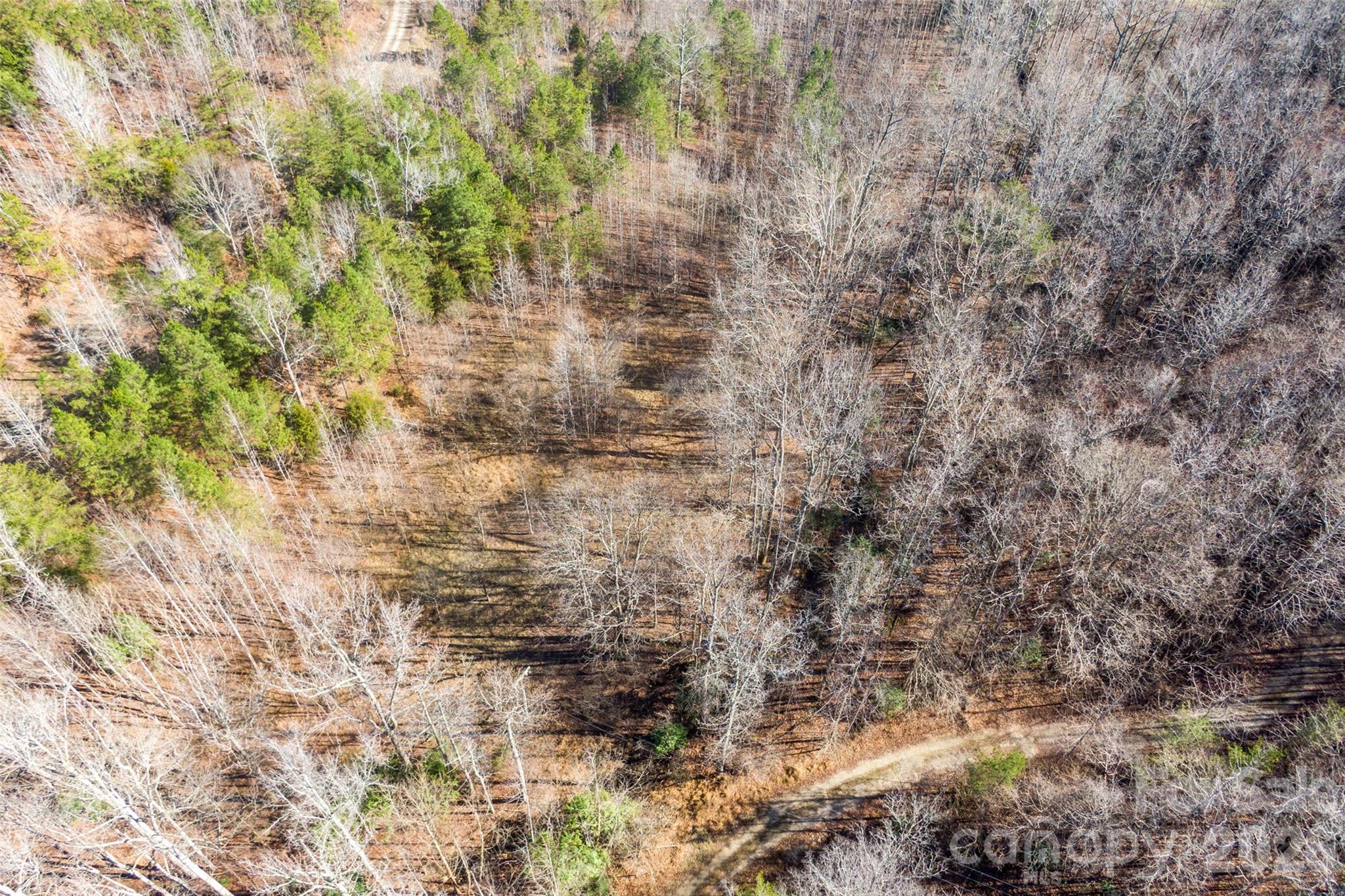 0 Riding Ring Drive, Unit 10 Ellenboro, NC 28040 - Photo 4 of 6