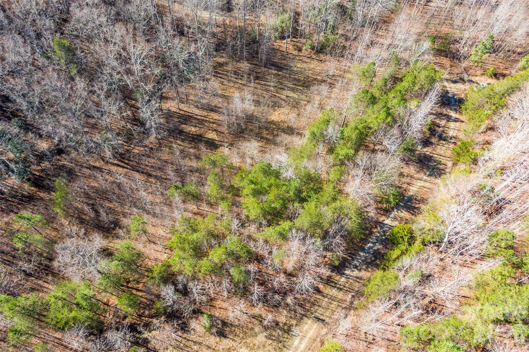 0 Riding Ring Drive, Unit 10 Ellenboro, NC 28040 - Photo 5 of 6 a view of a plants in a yard