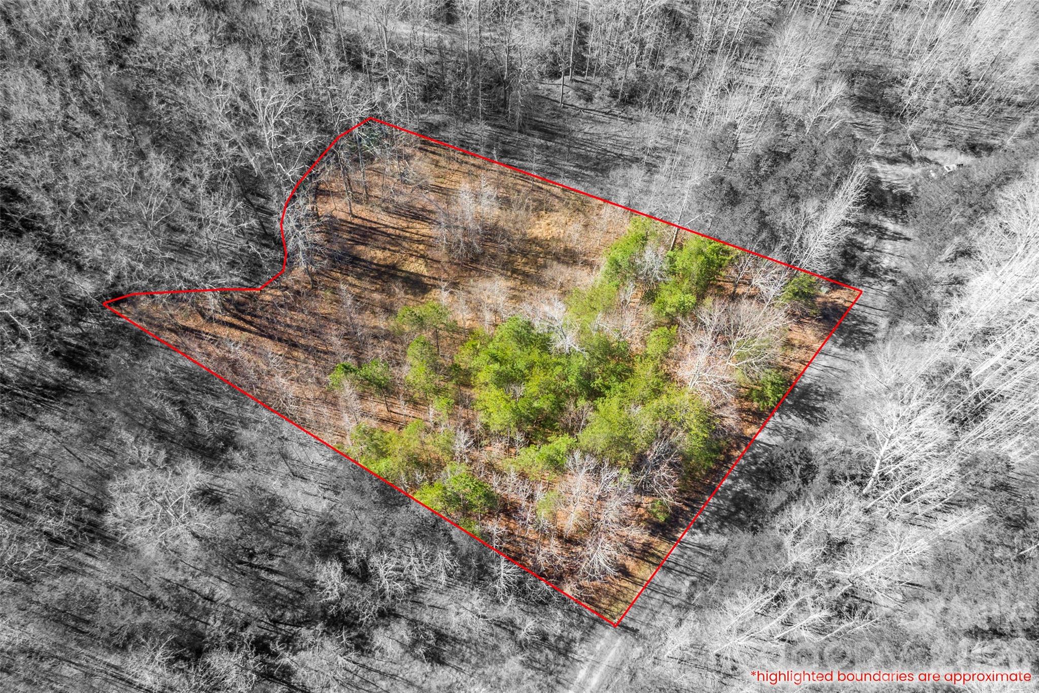 0 Riding Ring Drive, Unit 10 Ellenboro, NC 28040 - Photo 6 of 6