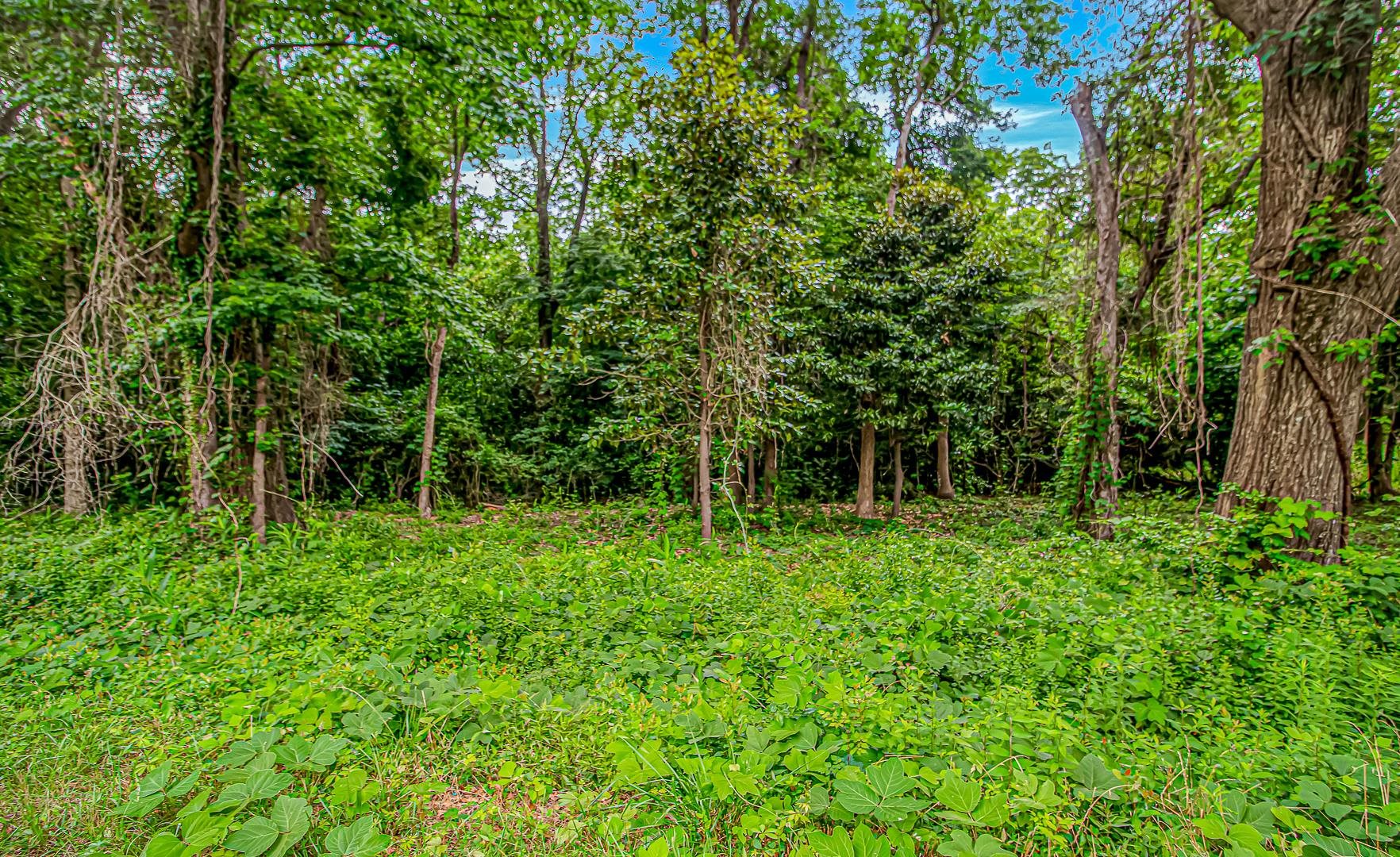 0 Millers Road Mullins, SC 29574 - Photo 7 of 16