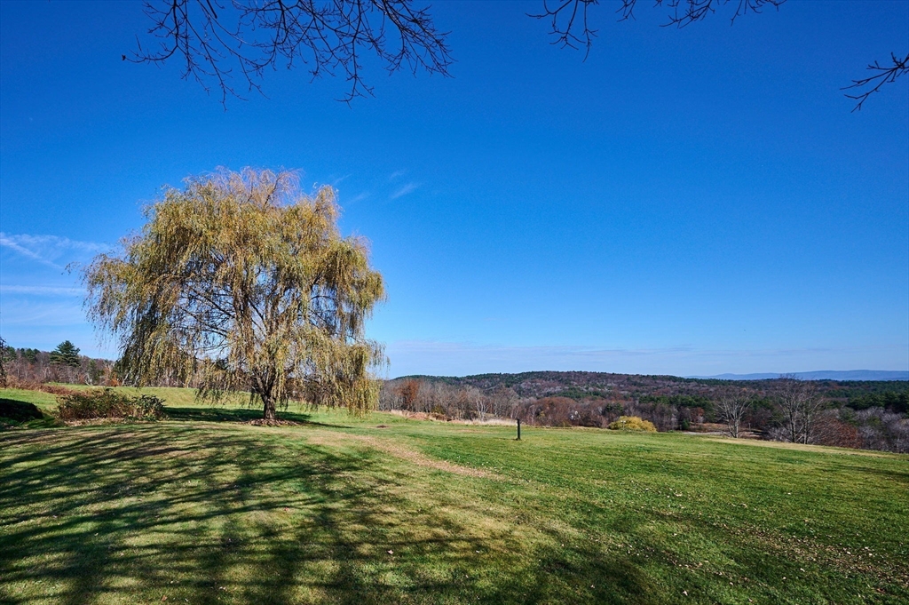 41 Coombs Hill Road Colrain, MA 01340 - Photo 25 of 32 a view of a yard with an trees