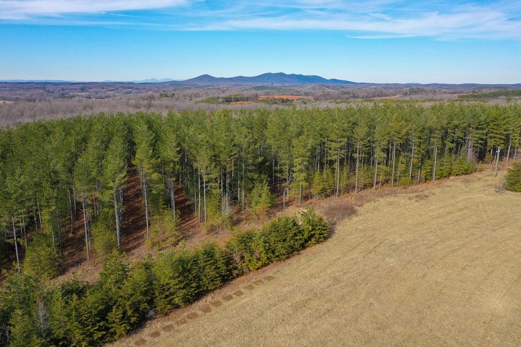 1084 Hedge Road Chatham, VA 24531 - Photo 43 of 75 Gallery Image 43